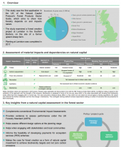 Forest Sector Case Study Infographic